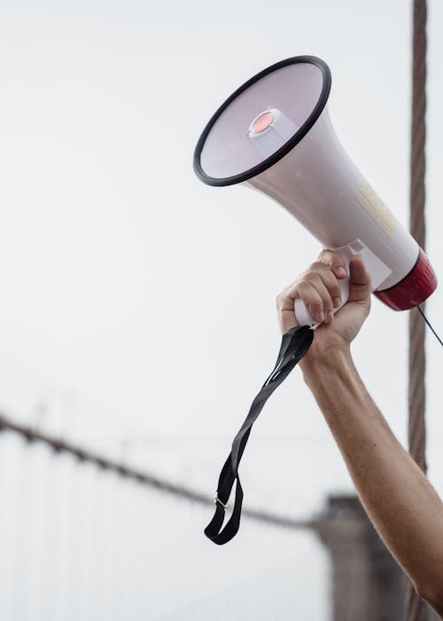 pexels-photo-8898633